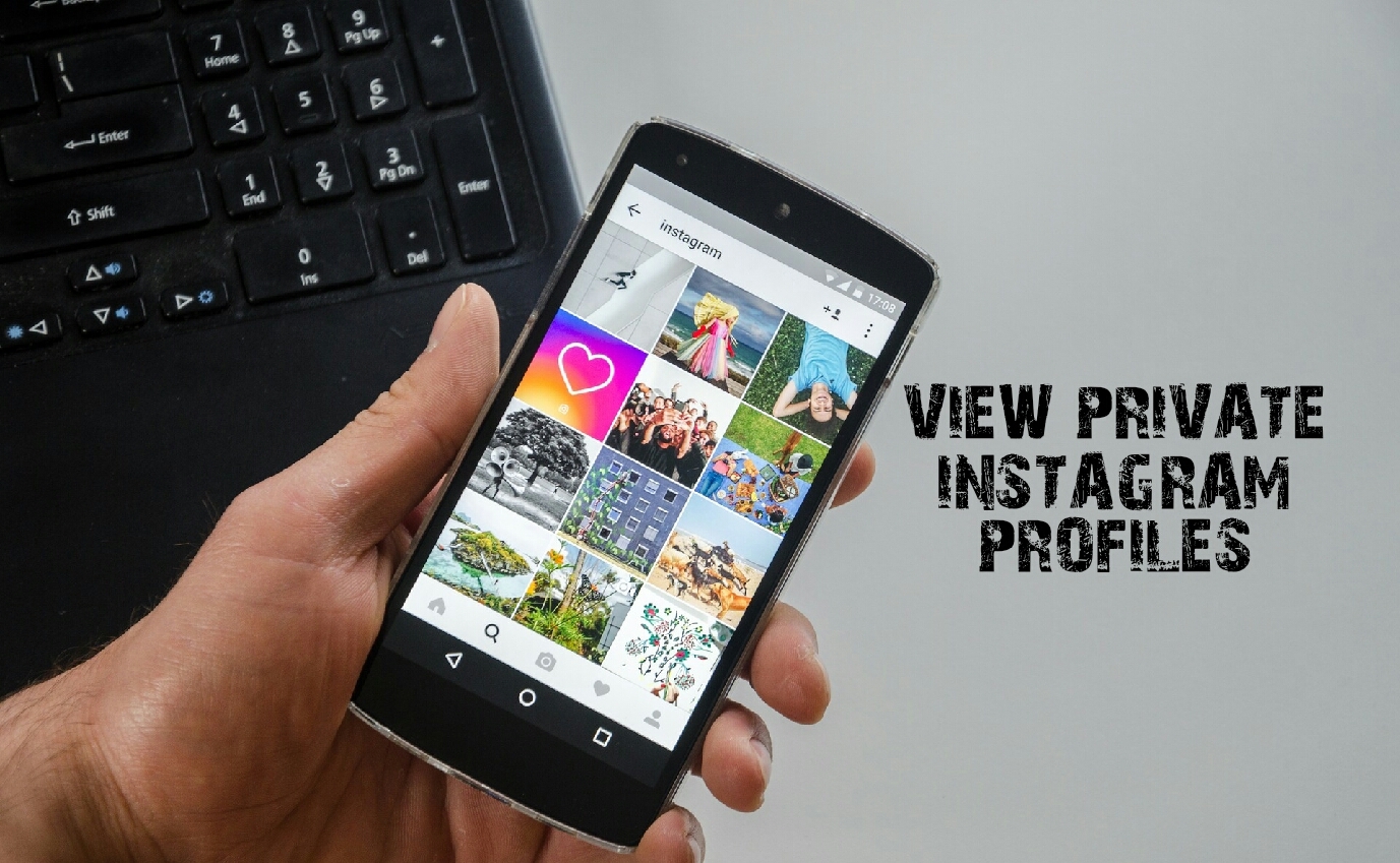 how to view private instagram profiles without following no survey