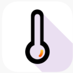 Thermometer X Digital Temp 4