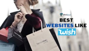 21 Best Cheap Shopping Sites Like Wish In 2024   Best Cheap Shopping Sites Like Wish 300x172 