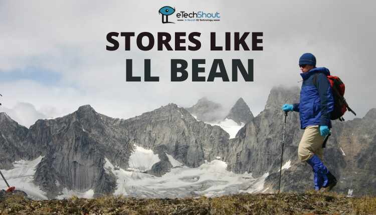 Top Stores Like LL Bean