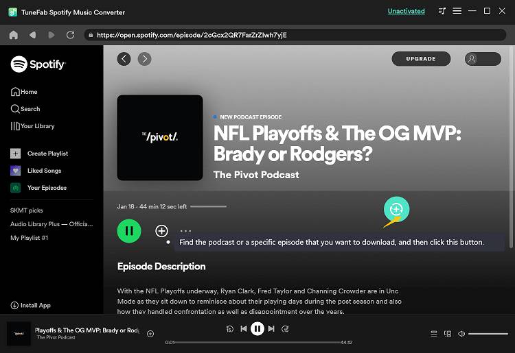 Select Spotify Podcast Episodes