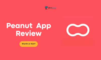 Peanut App Review