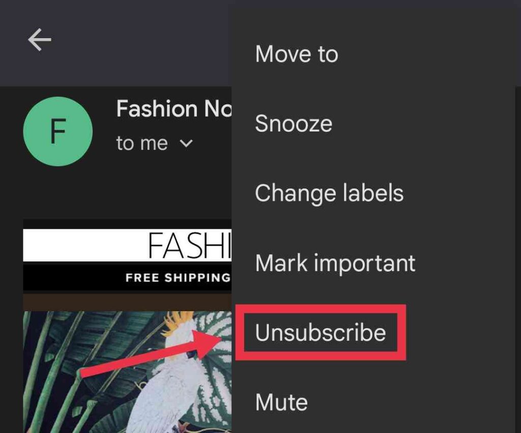 Fashion Nova Unsubscribe Email Opton on Gmail