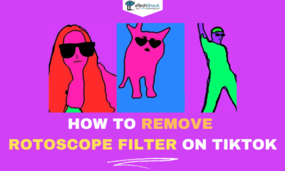 How to Remove Rotoscope Filter on TikTok