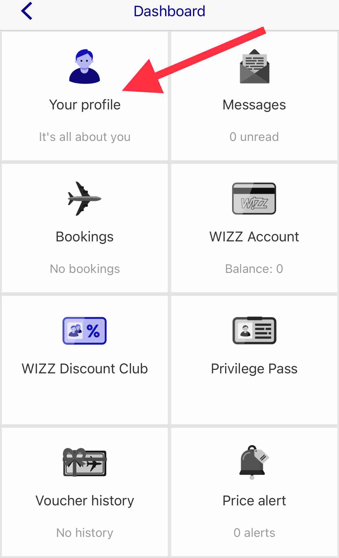 Wizz Air profile section