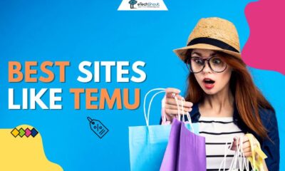 Best Shopping Sites like Temu (Alternatives)