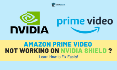 Fix Amazon Prime Video Not Working on Nvidia Shield