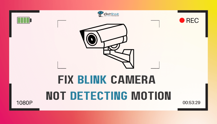 Fix Blink Camera Not Detecting Motion