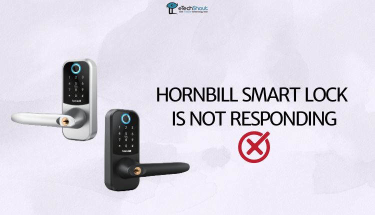 Hornbill Smart Lock is Not Responding