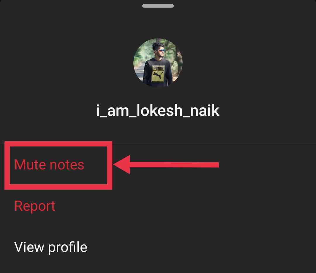 Instagram mute notes option
