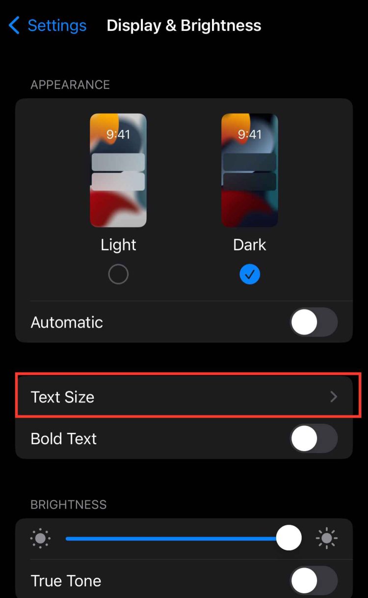 Text Size option on iOS