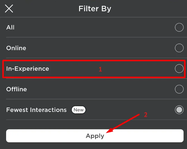 Roblox In-Experience Filter