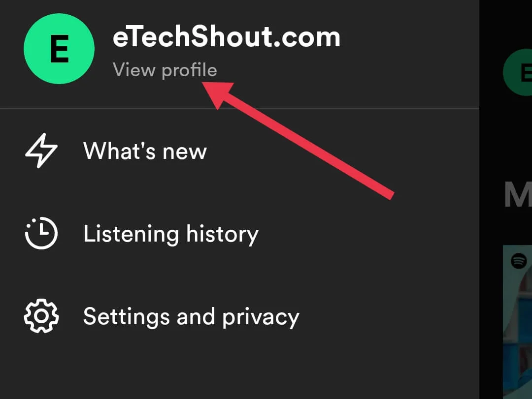 Spotify app view profile option