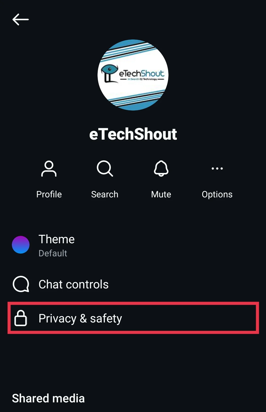 Privacy & Safety option in chat on Instagram