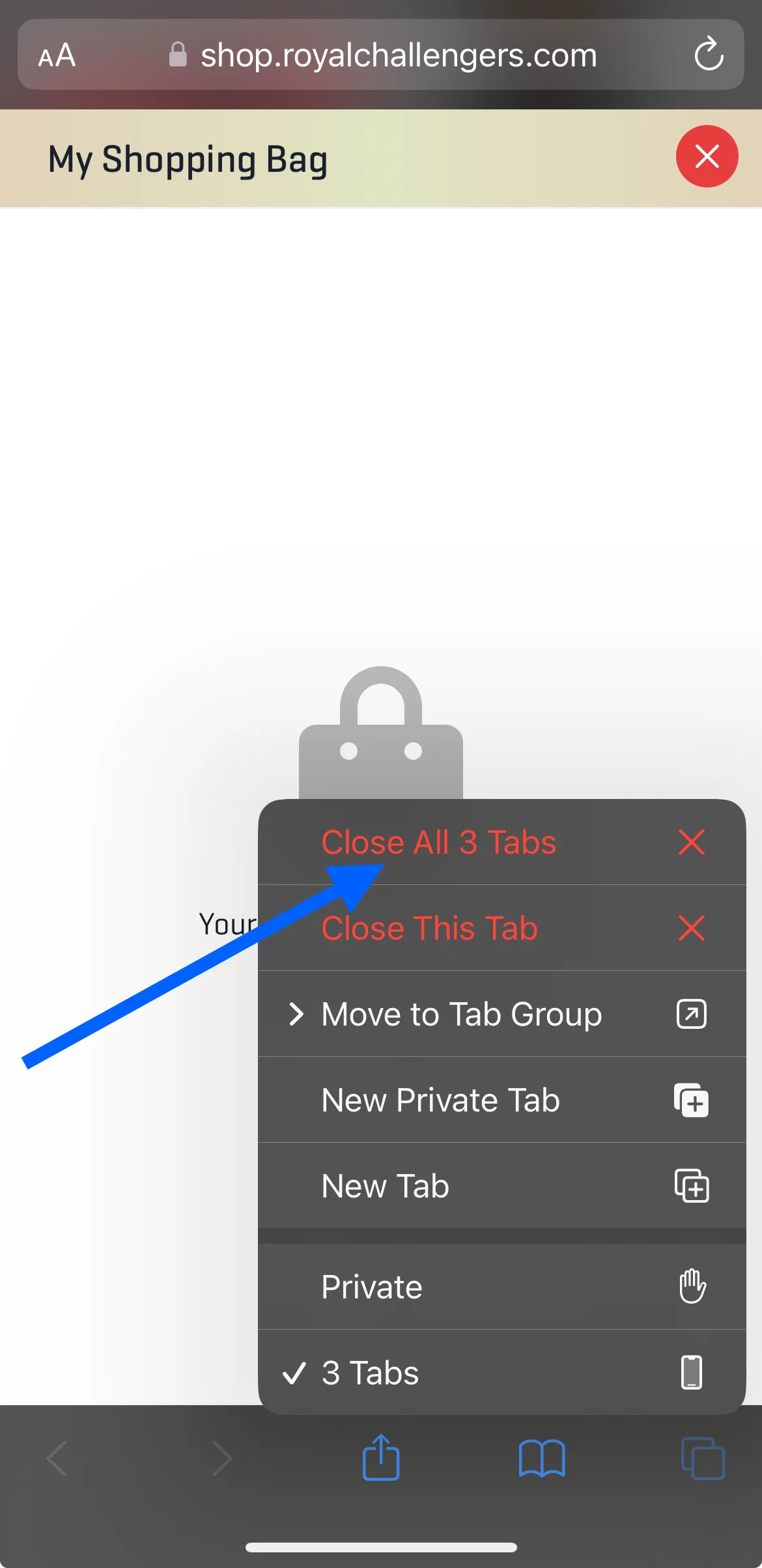 Safari close all tabs option