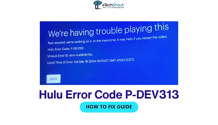 Fix Hulu Error Code P-DEV313