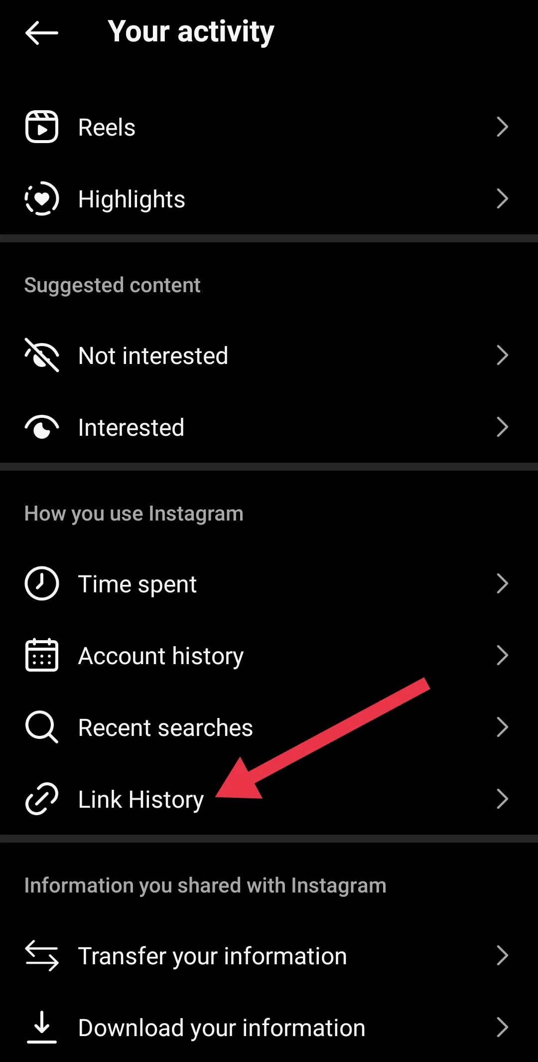 Instagram link history option under your activity