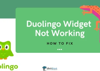 Duolingo Widget Not Working