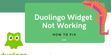 Duolingo Widget Not Working