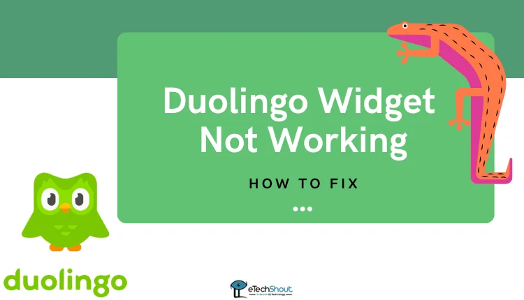 Duolingo Widget Not Working