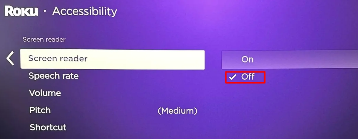 Roku Screen Reader