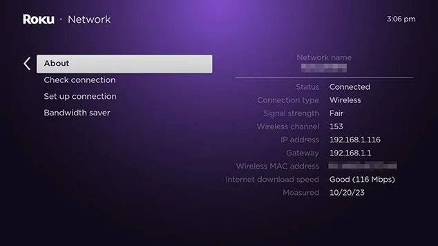 Roku internet test