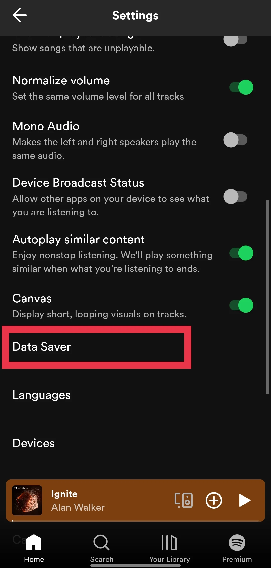 Data saver on Spotify