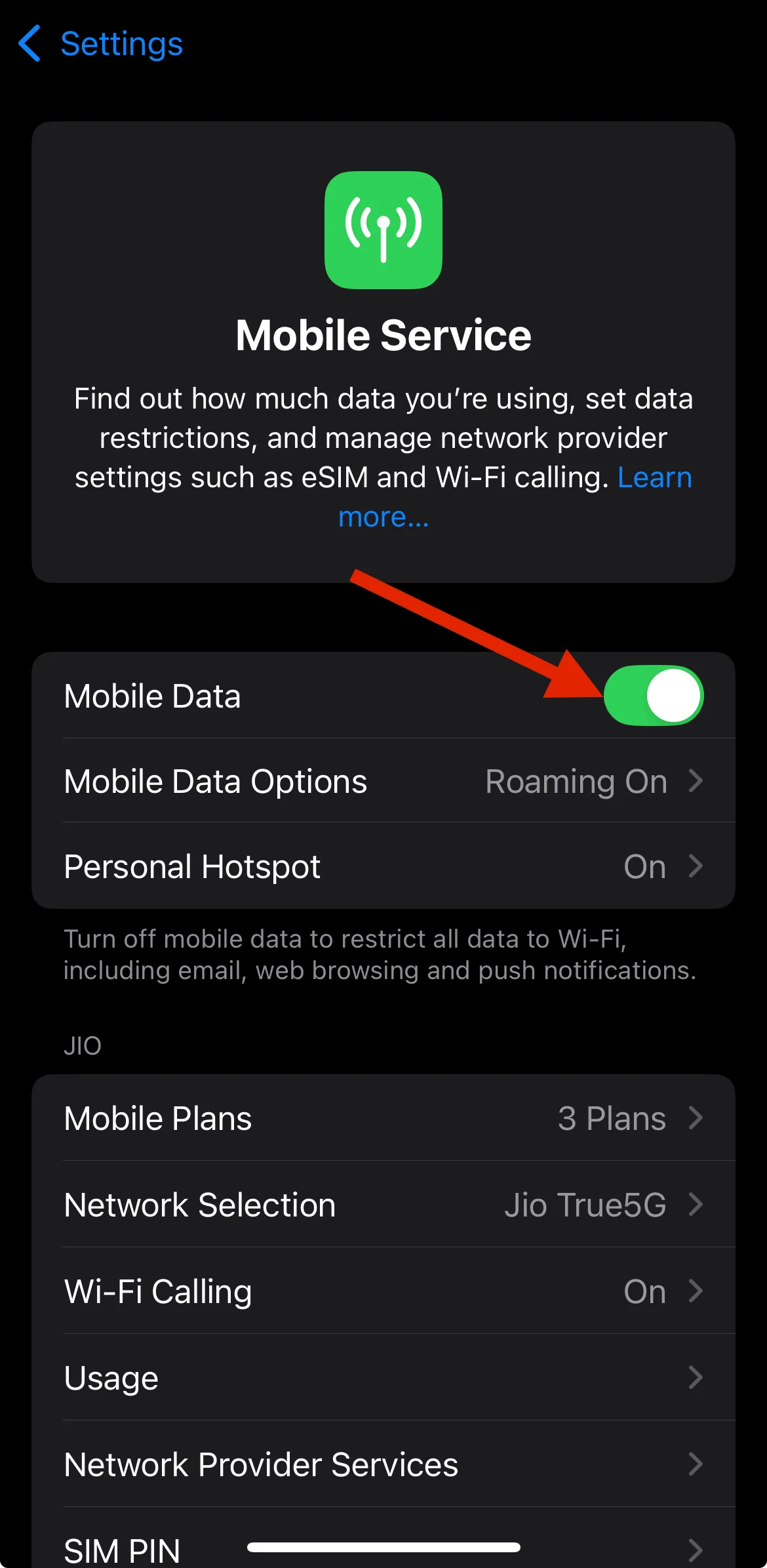 Enable mobile data on iOS