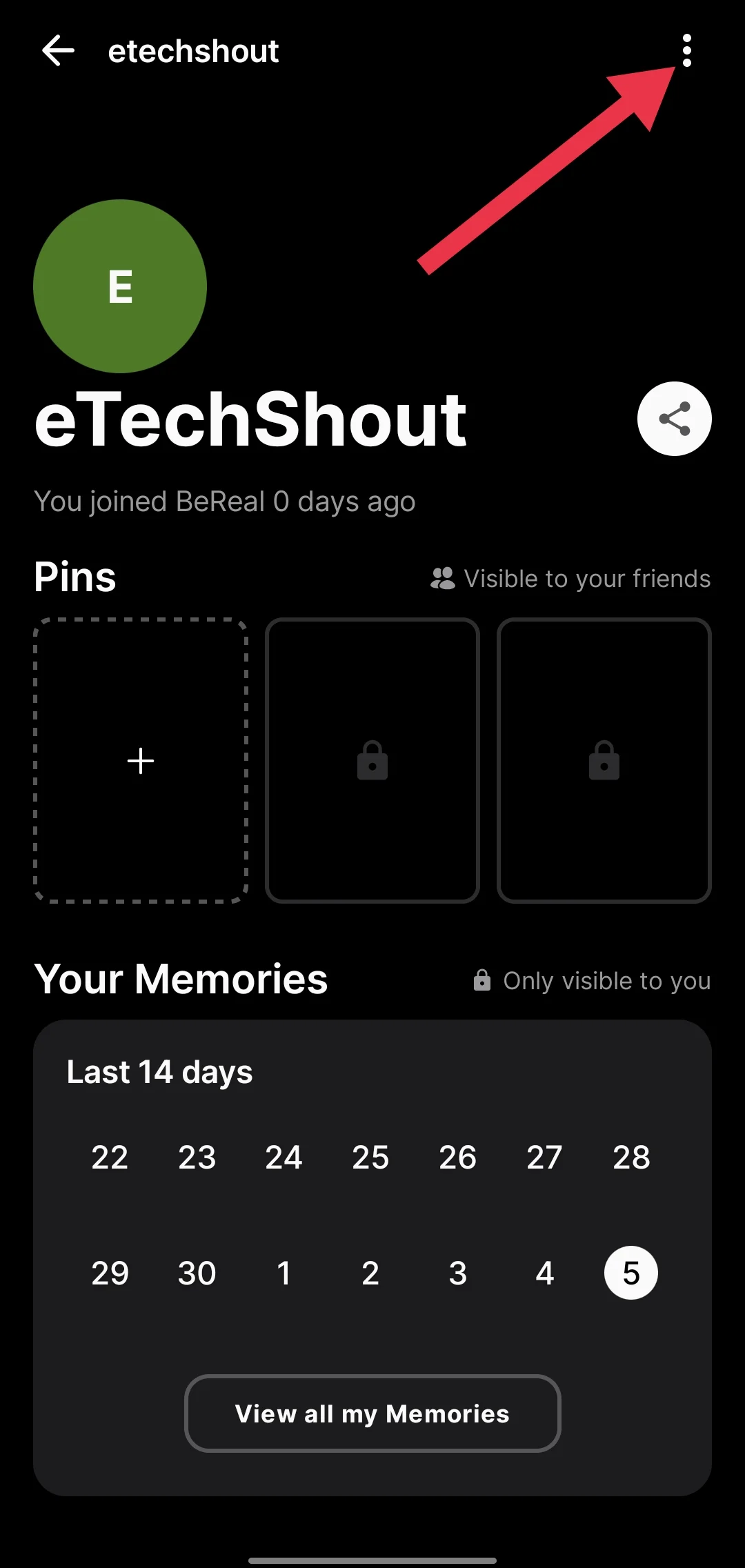BeReal profile settings