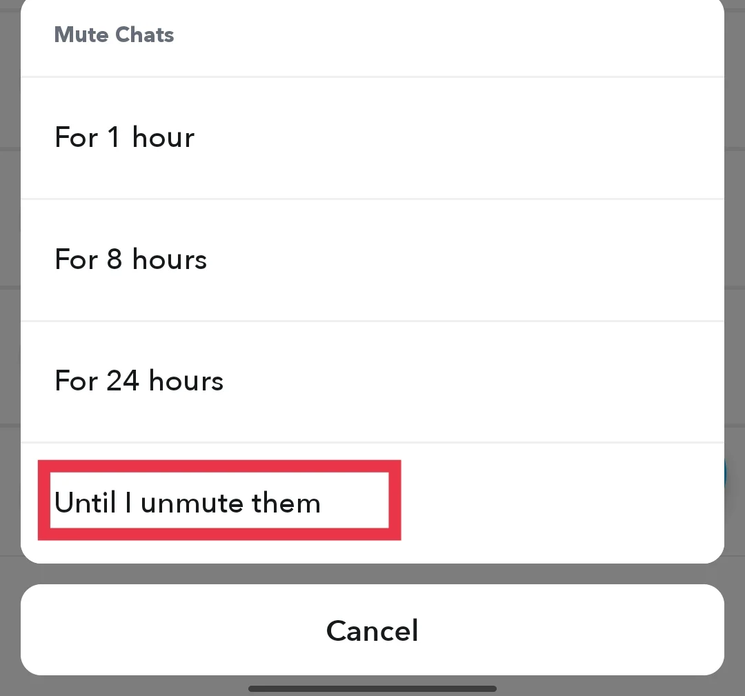 Untill I unmute them on Snapchat