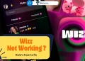 Why is Wizz Not Working