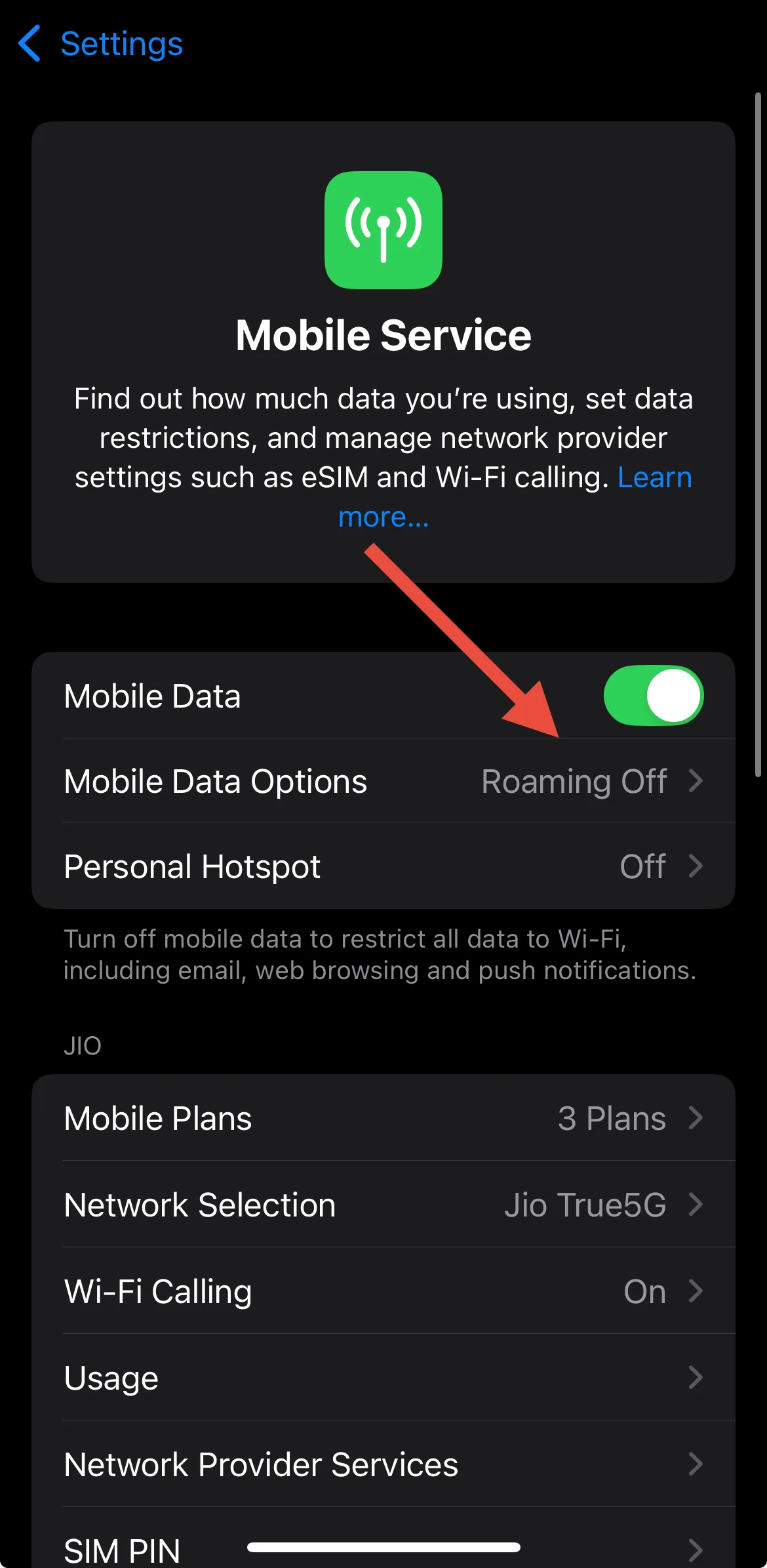 Mobile Data Options iOS