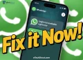 Step-by-step guide to fix the "Login not available right now" issue on WhatsApp