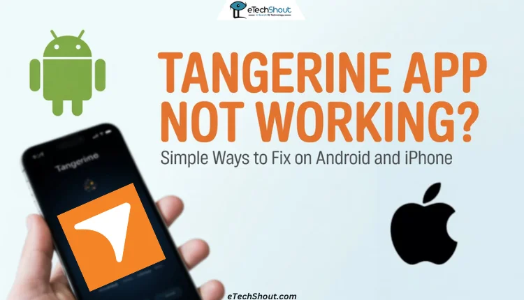 Guide to fix the Tangerine app not working on Android and iPhone