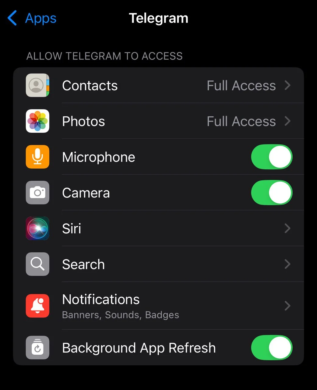 Enable microphone, camera, and network permissions for Telegram on iPhone