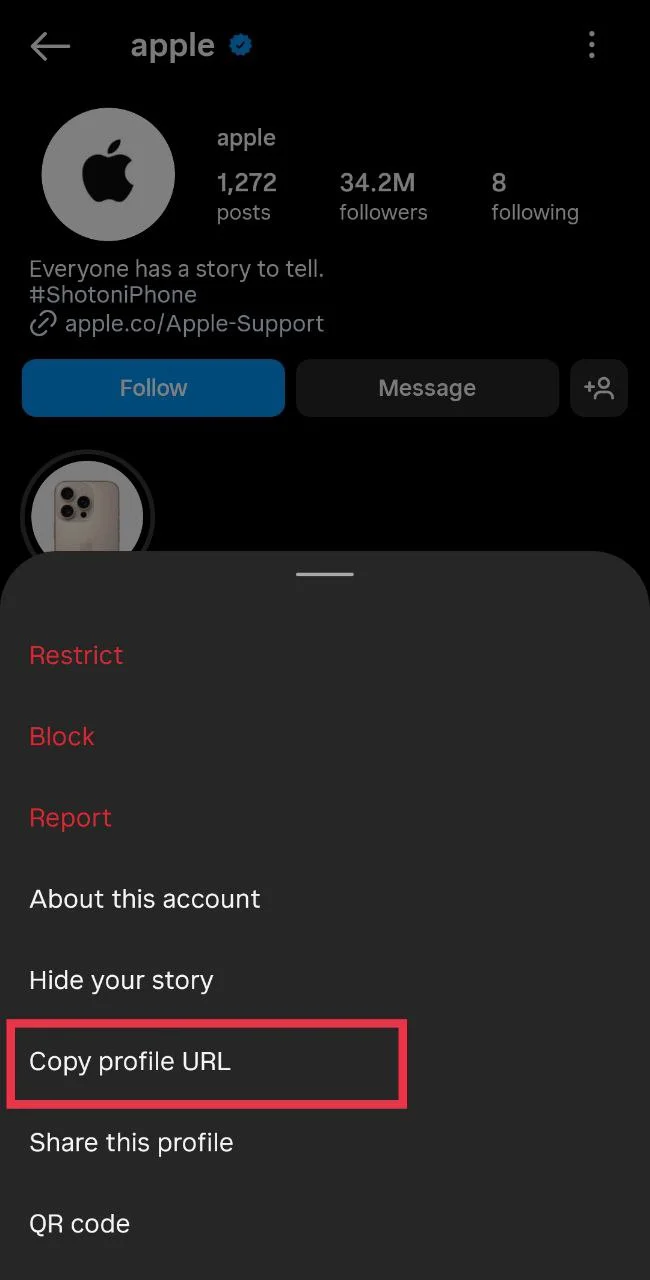 Select “Copy profile URL” from the Instagram profile menu to check account privacy in a browser