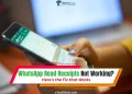 Fix WhatsApp Read Receipts not working with simple troubleshooting steps