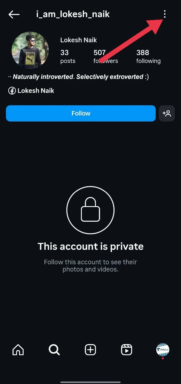 Tap the three dots on the private account profile to see more options