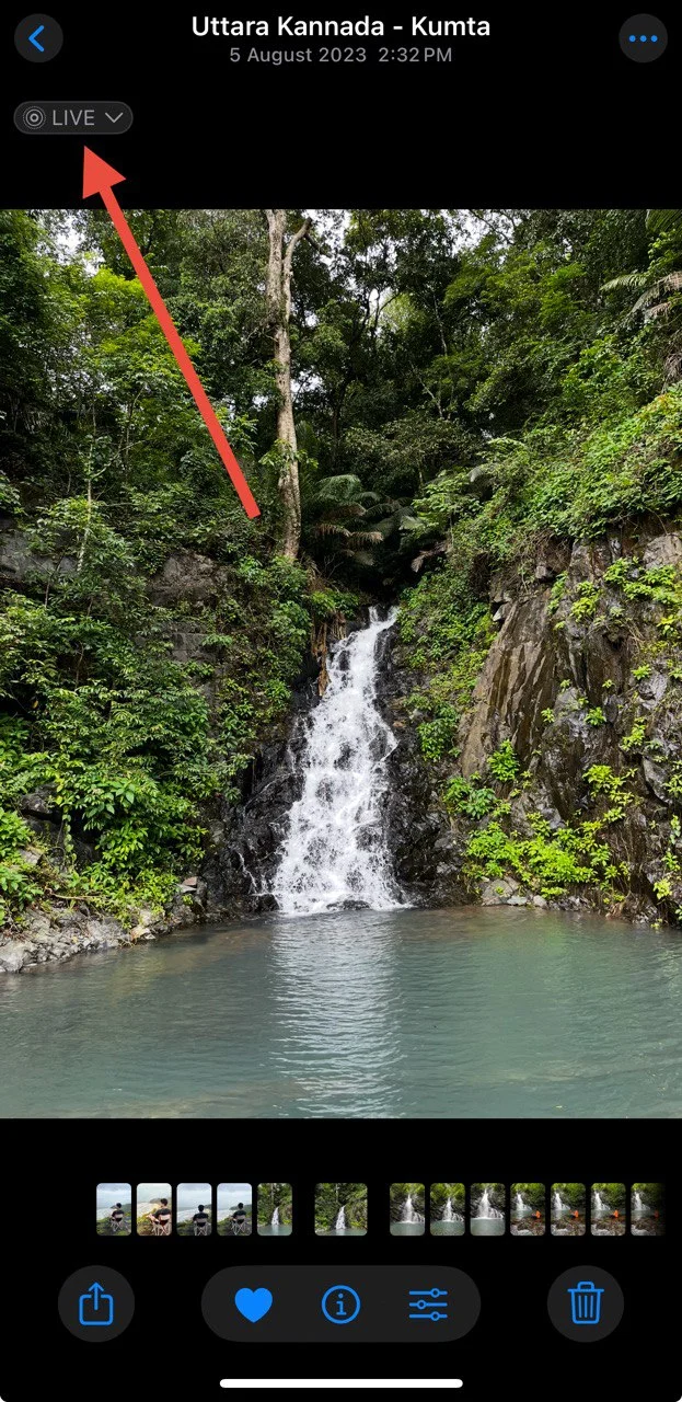Tap on ‘Live’ at the top left to manage Live Photo settings on Instagram