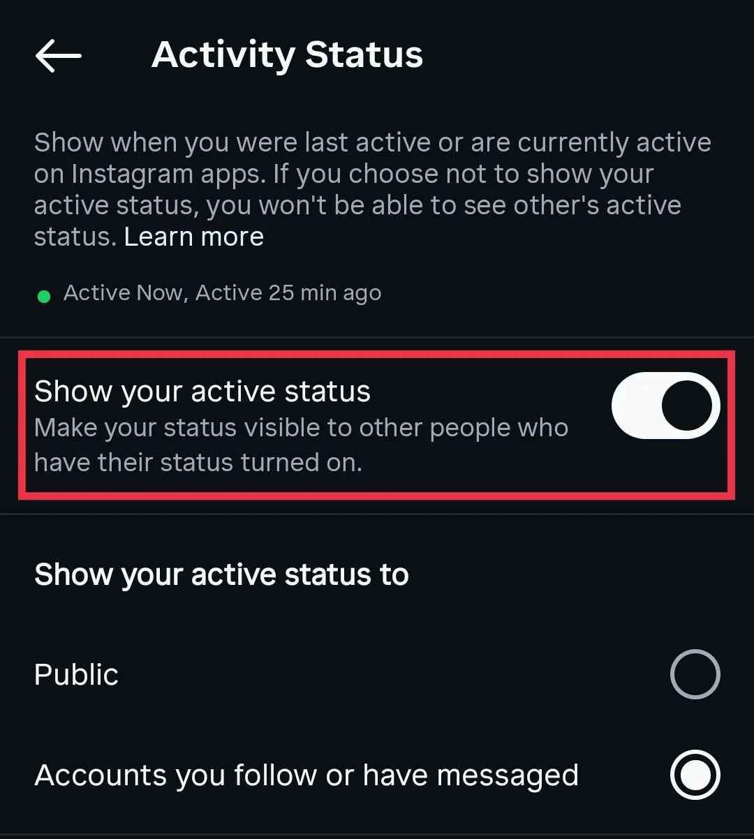 Show Activity Status enabled in Instagram privacy settings