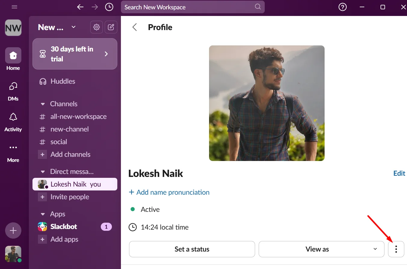 Click the three dot menu next to "View as" to open more profile settings