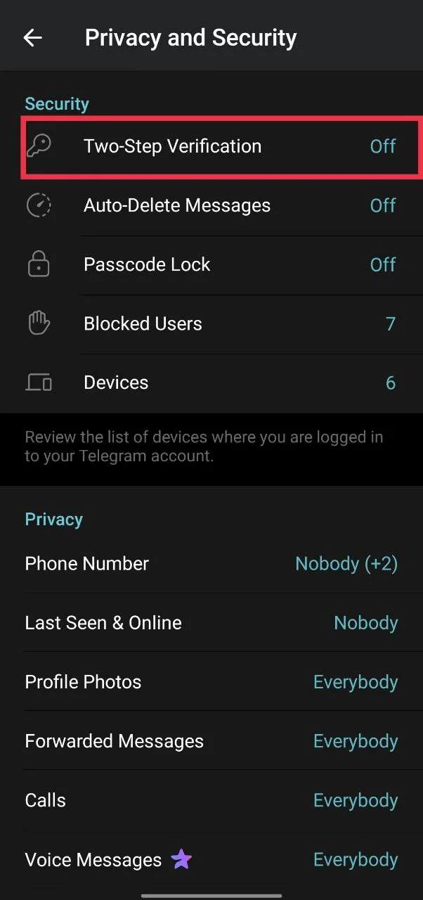 Enable two-step verification on Telegram to avoid unwanted logouts and secure your account