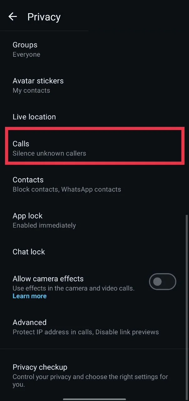 Open WhatsApp calls option under privacy on Android