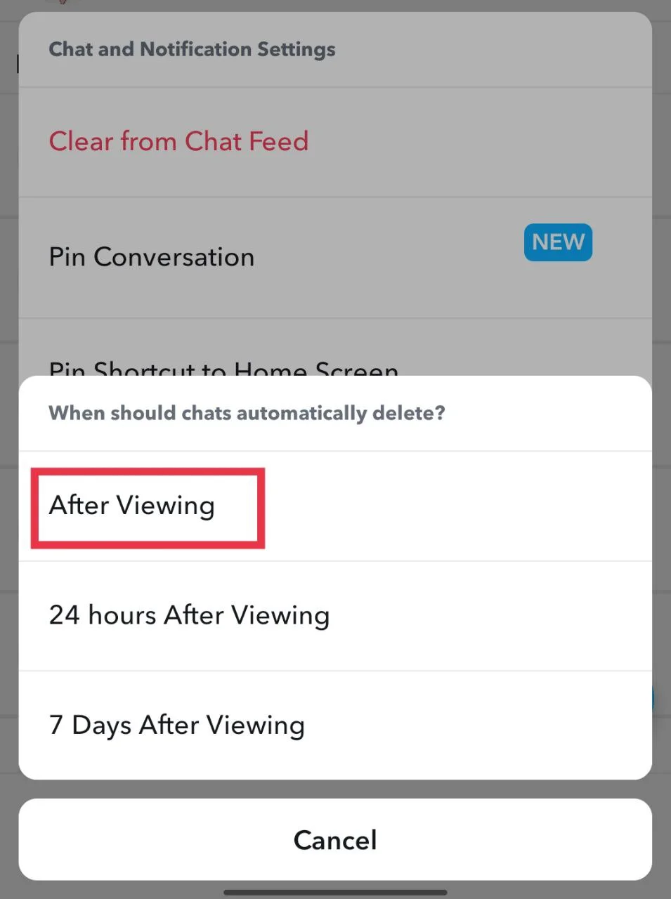 Choose After Viewing option in Snapchat to control chat visibility