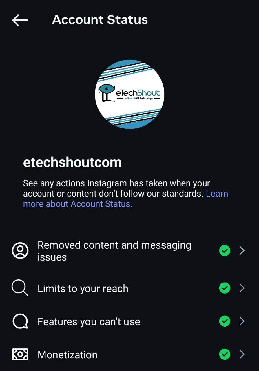 Instagram Account Status screen displaying any restricted features in the account