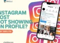 Complete guide to fix Instagram posts not showing on your profile