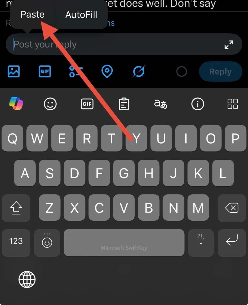 Tap and hold in the X (Twitter) text field and choose “Paste” to insert the copied image