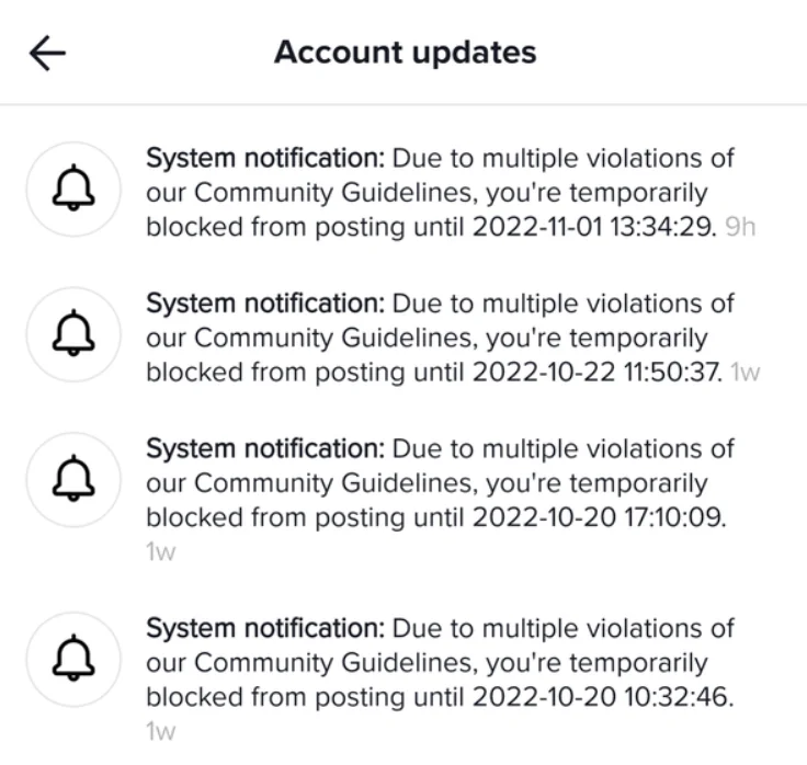 TikTok app account updates section