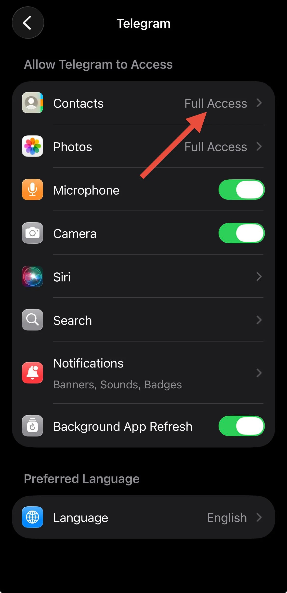Full access granted to Contacts option for Telegram in iPhone settings