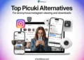 Explore the best Picuki alternatives for browsing Instagram anonymously and downloading content